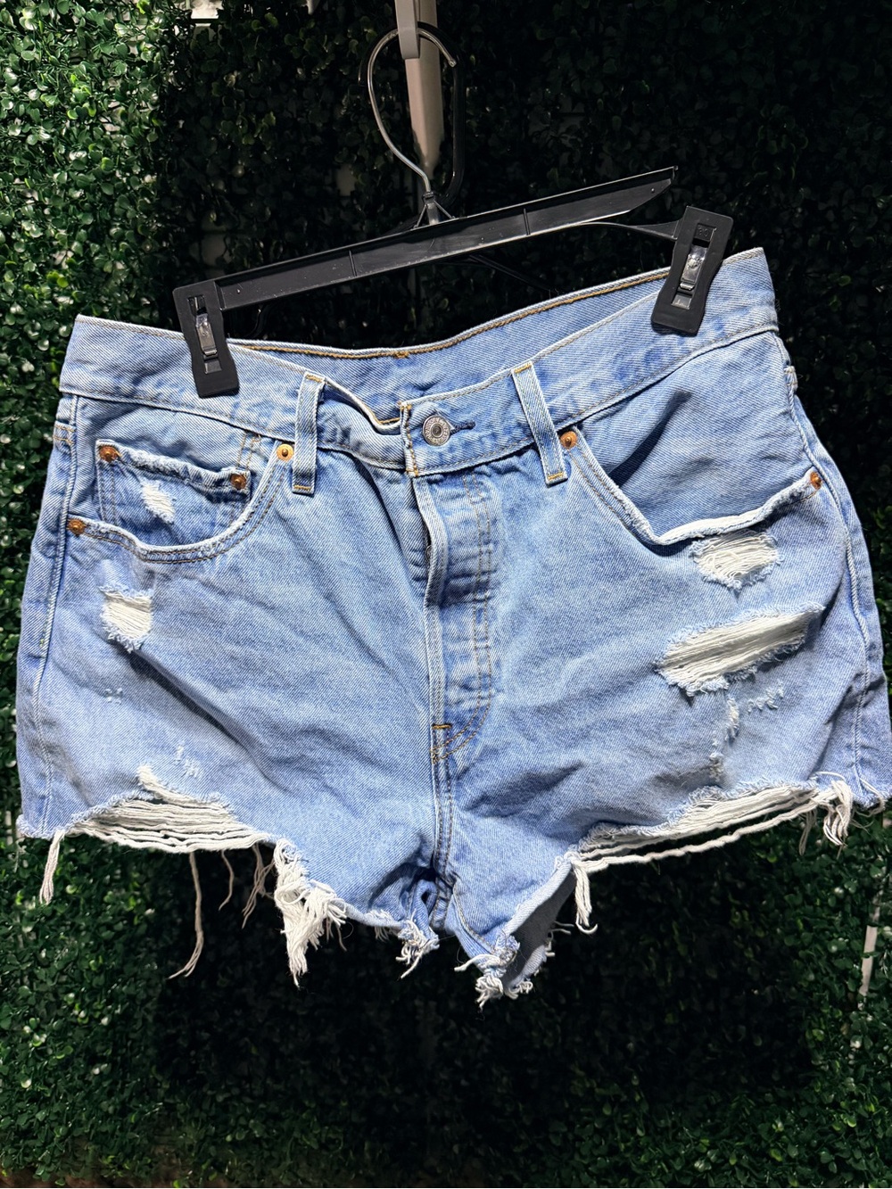 LEVI Light Blue Distressed Denim Shorts - Women's Casual Summer